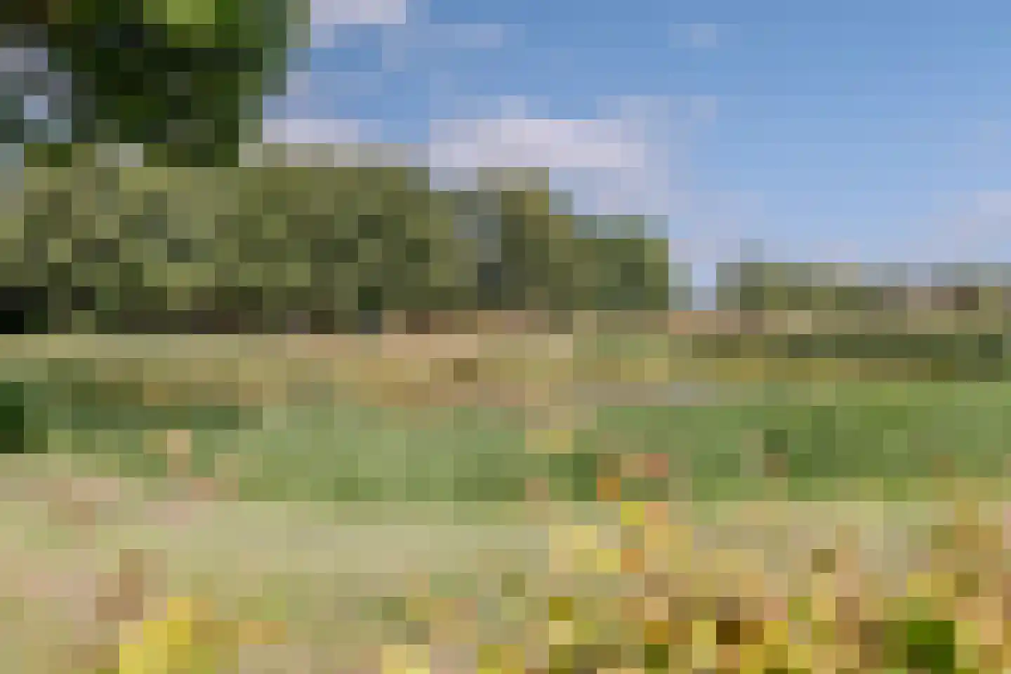 Waterhoen 6 Meppel thumbnail 42