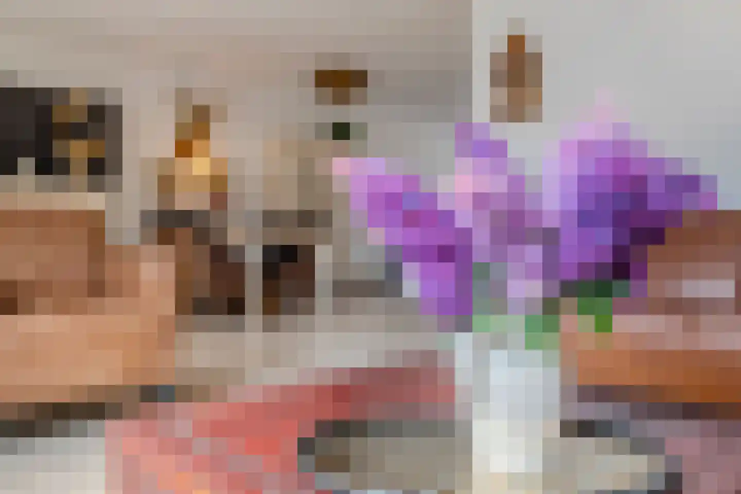 Waterhoen 6 Meppel thumbnail 6