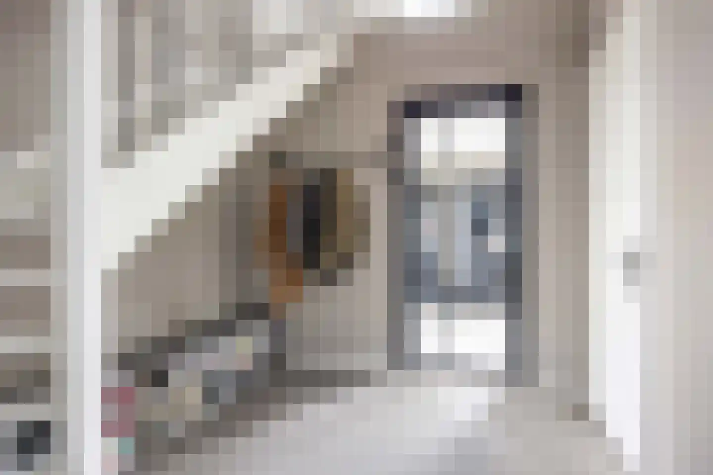 Waterhoen 8 Bedum thumbnail 12