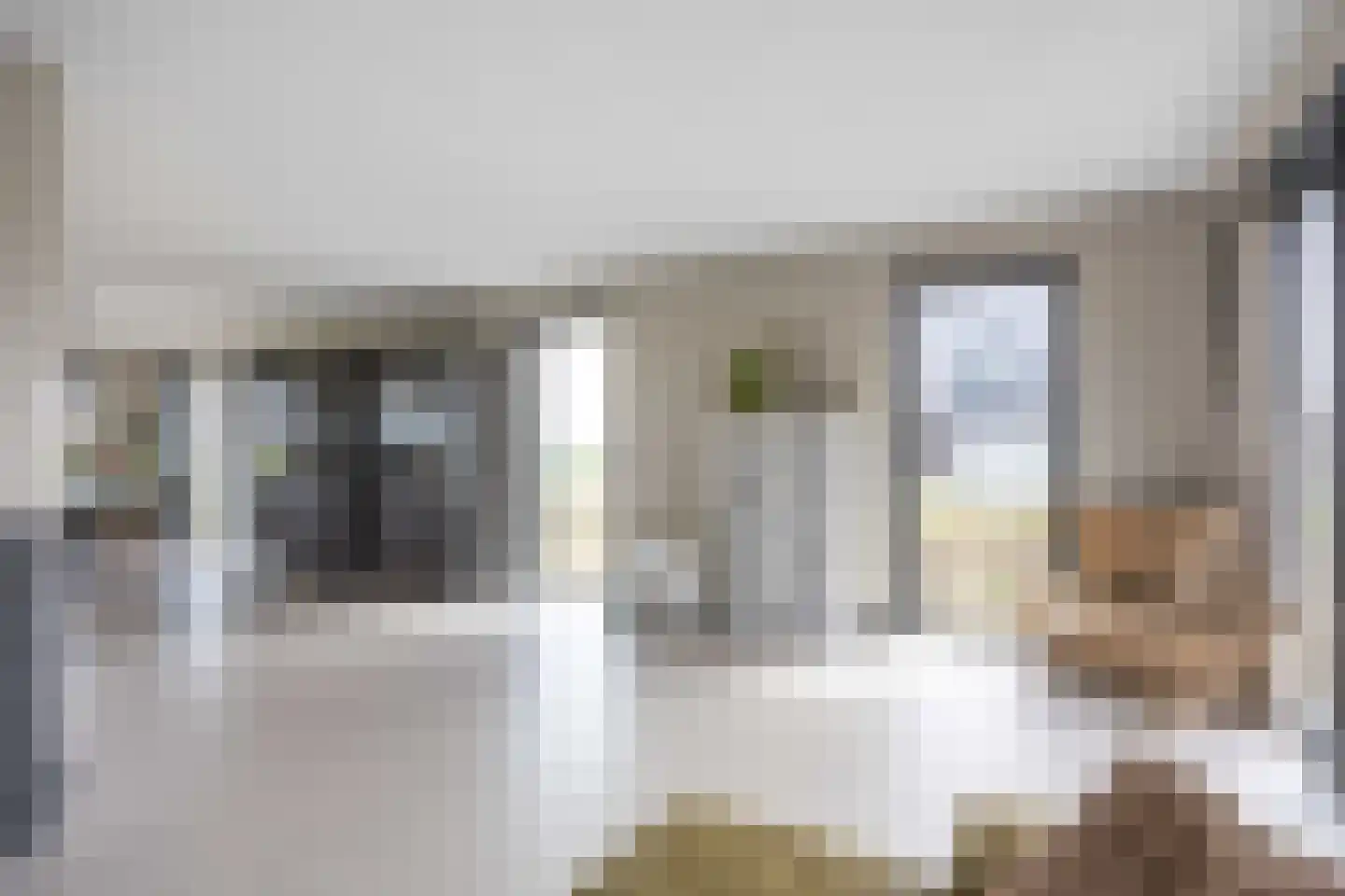 Waterhoen 8 Bedum thumbnail 18