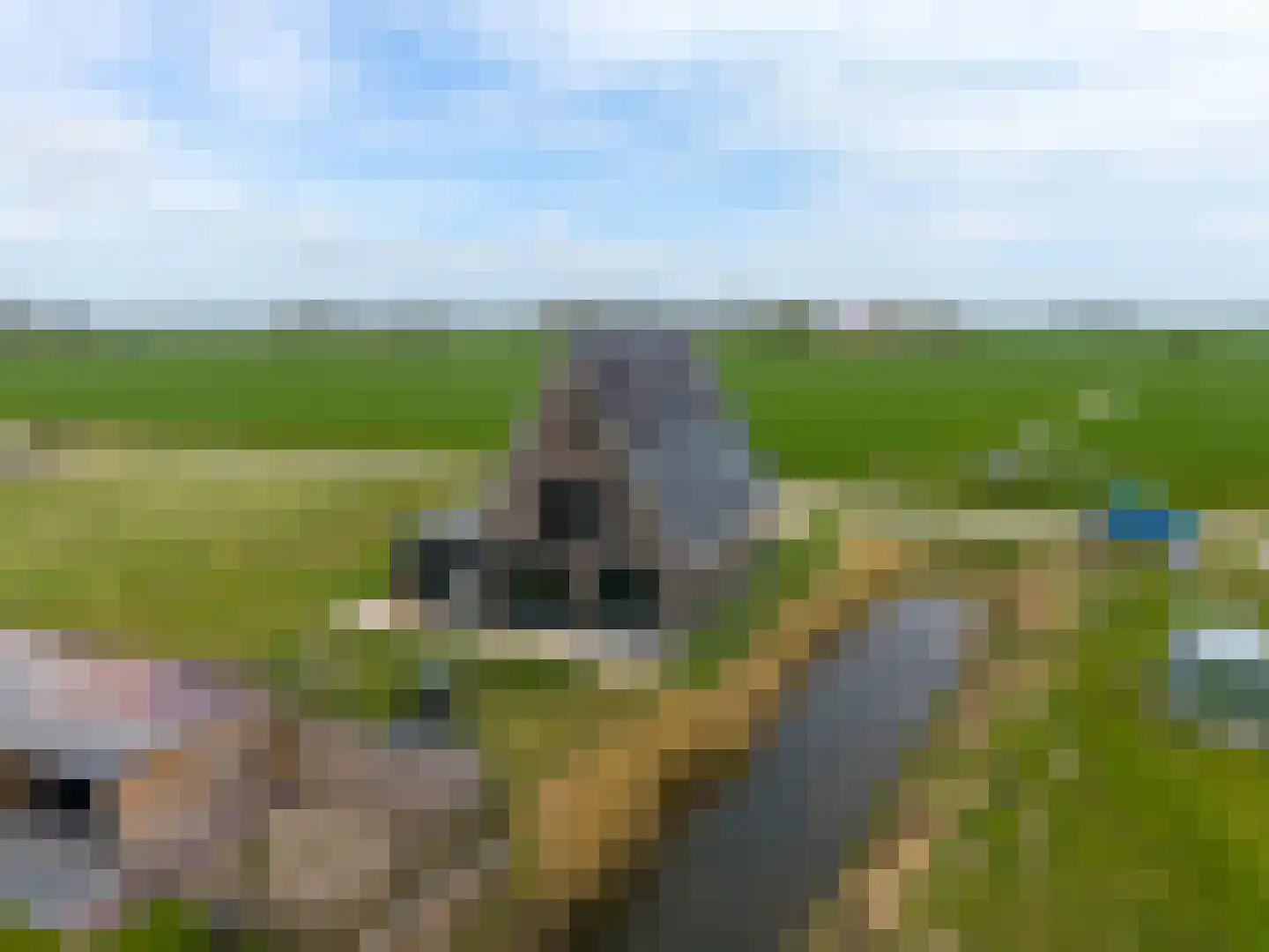 Waterhoen 8 Bedum foto 2