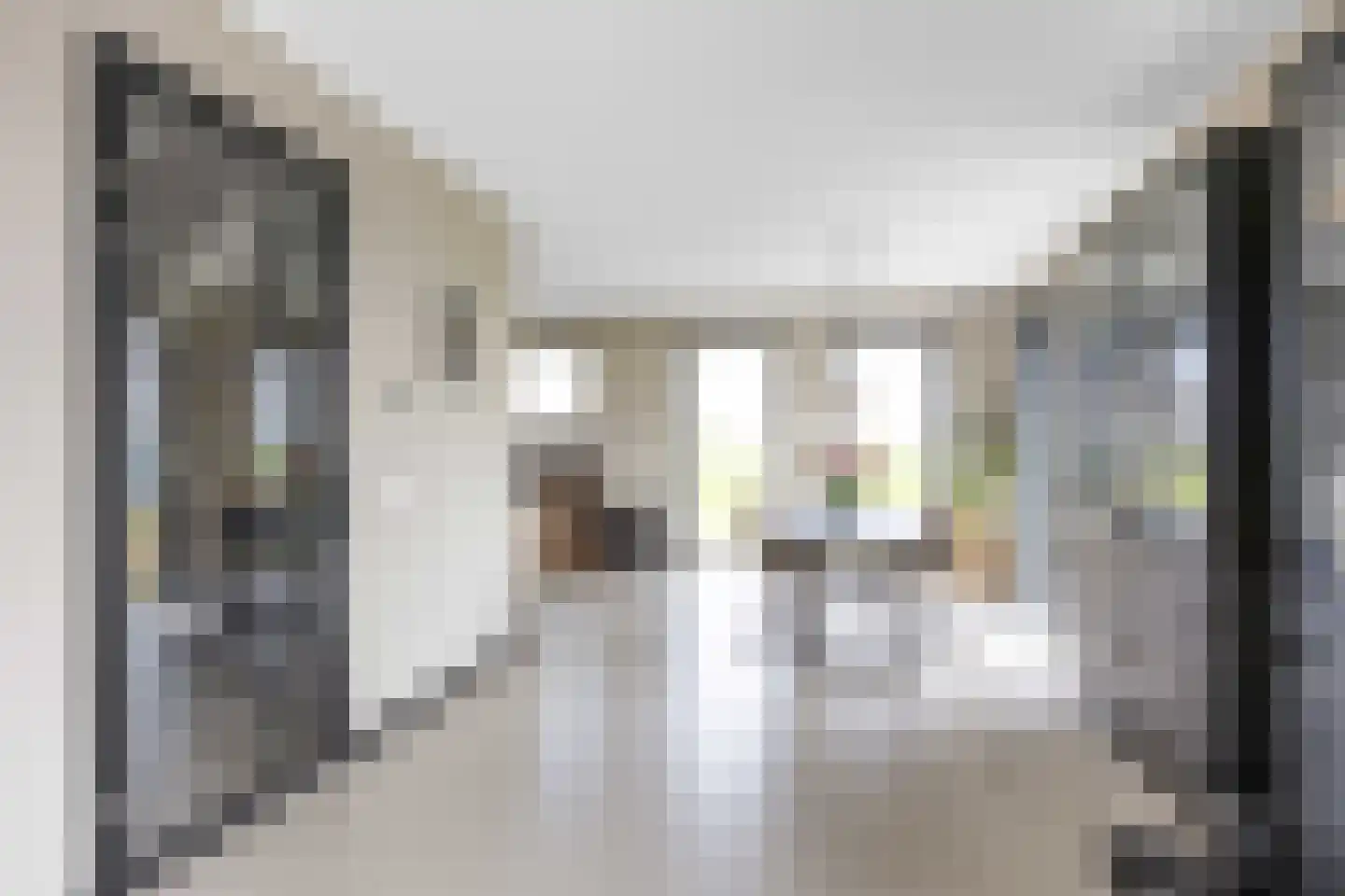 Waterhoen 8 Bedum thumbnail 20