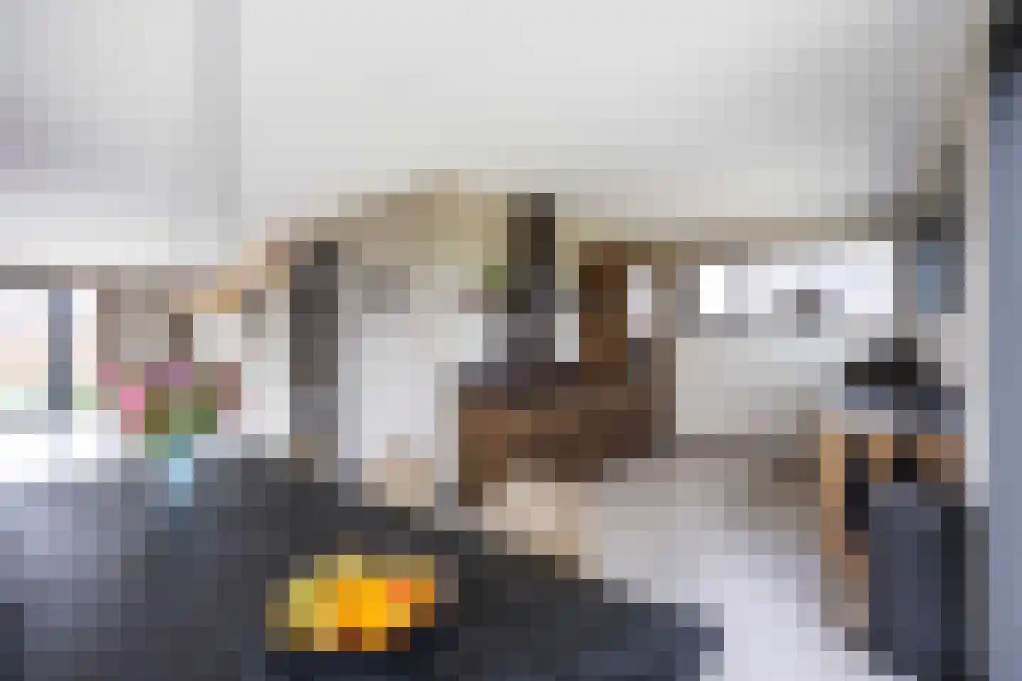 Waterhoen 8 Bedum thumbnail 22