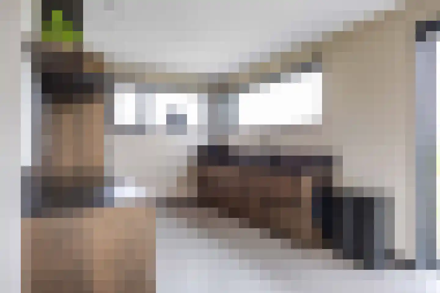 Waterhoen 8 Bedum thumbnail 24
