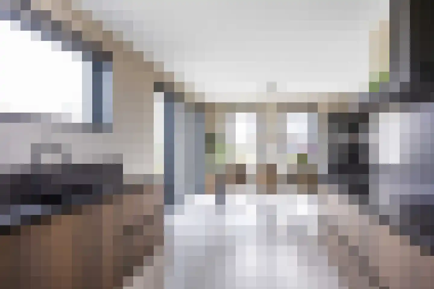 Waterhoen 8 Bedum thumbnail 27