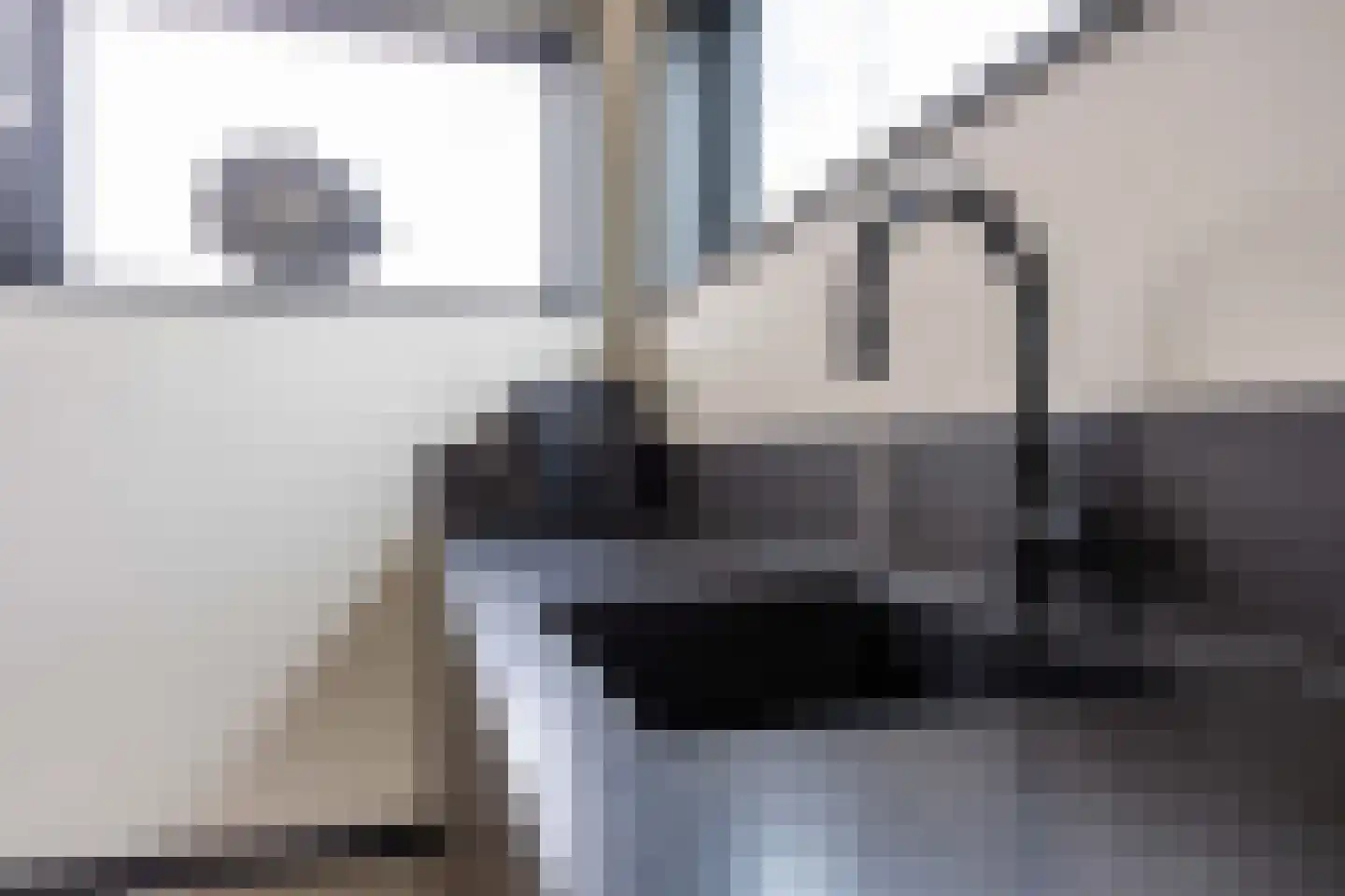 Waterhoen 8 Bedum thumbnail 28
