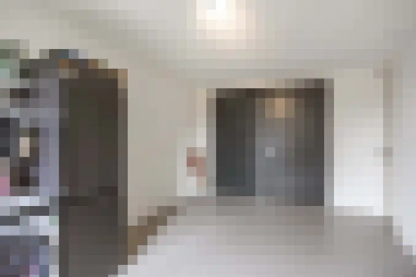 Waterhoen 8 Bedum thumbnail 32