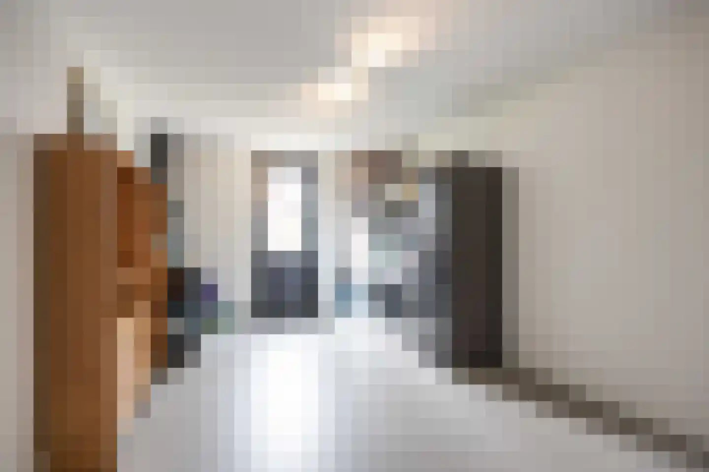 Waterhoen 8 Bedum thumbnail 33