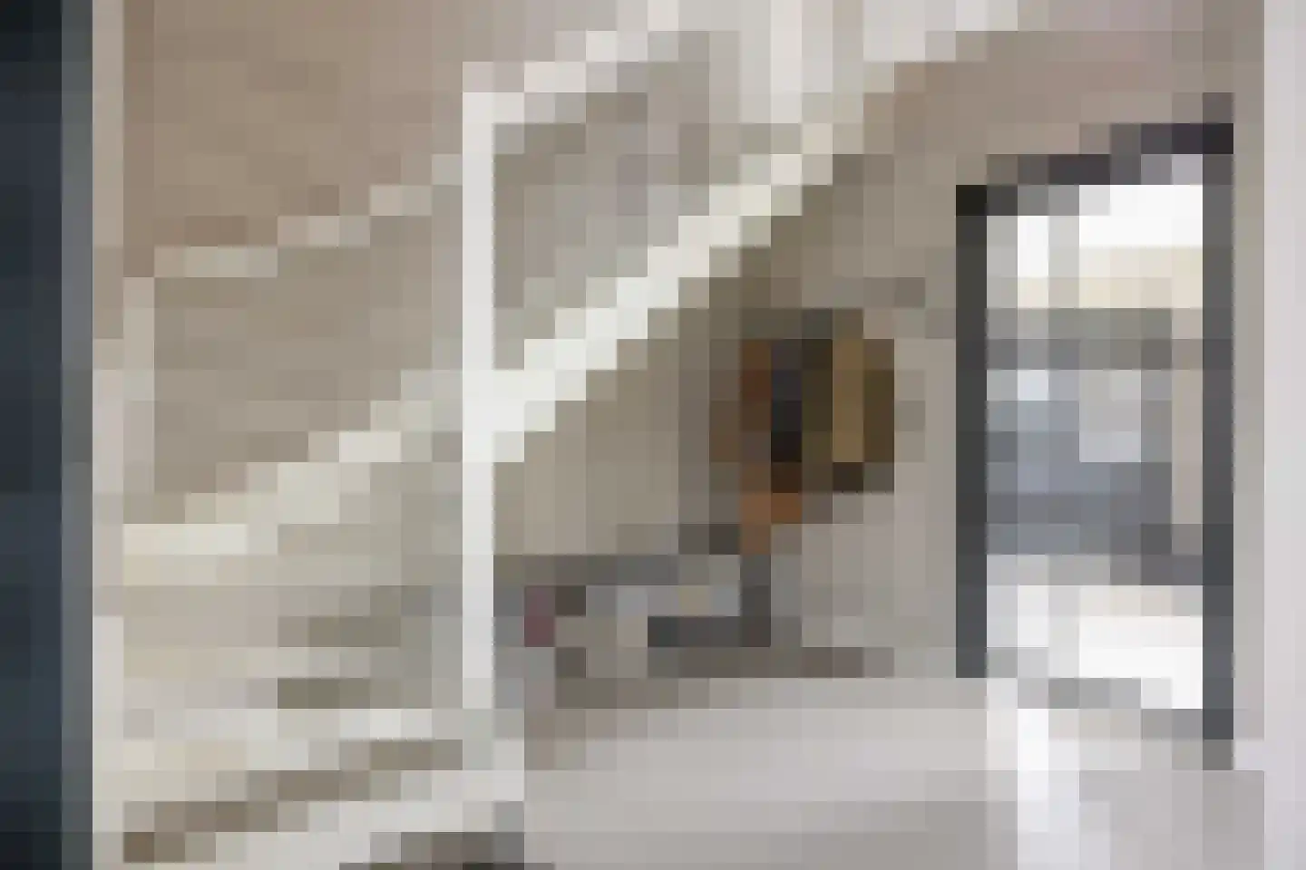 Waterhoen 8 Bedum thumbnail 34