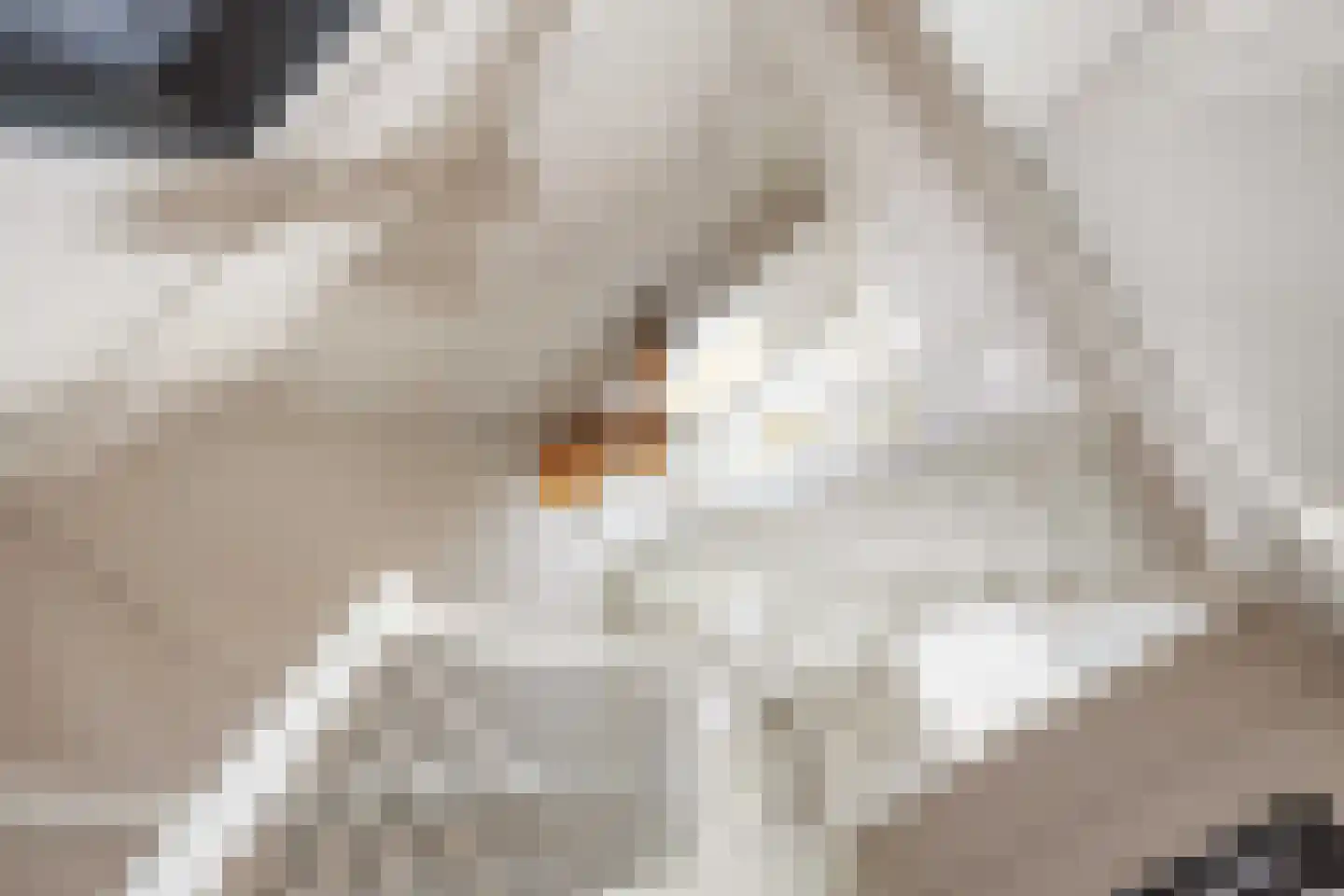Waterhoen 8 Bedum thumbnail 35