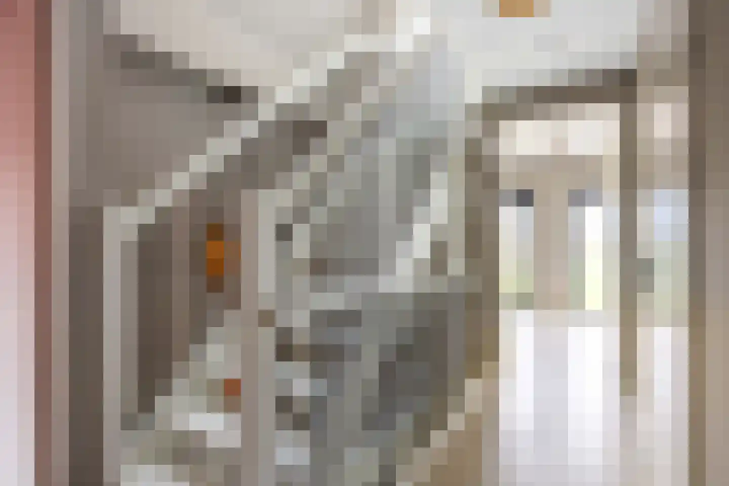 Waterhoen 8 Bedum thumbnail 36