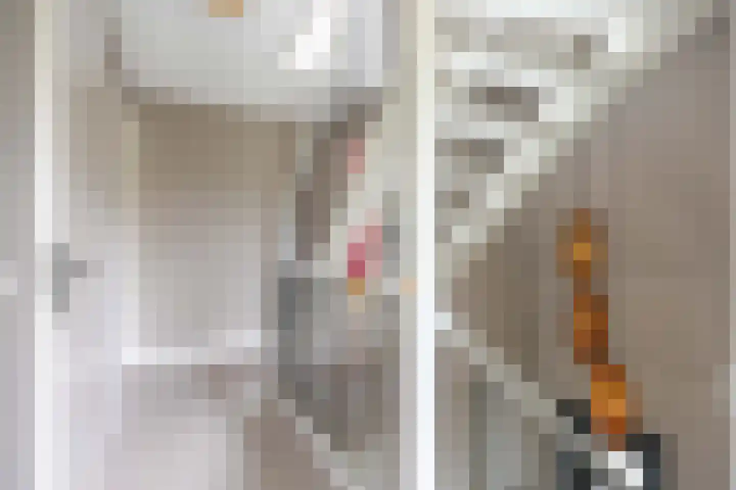 Waterhoen 8 Bedum thumbnail 37