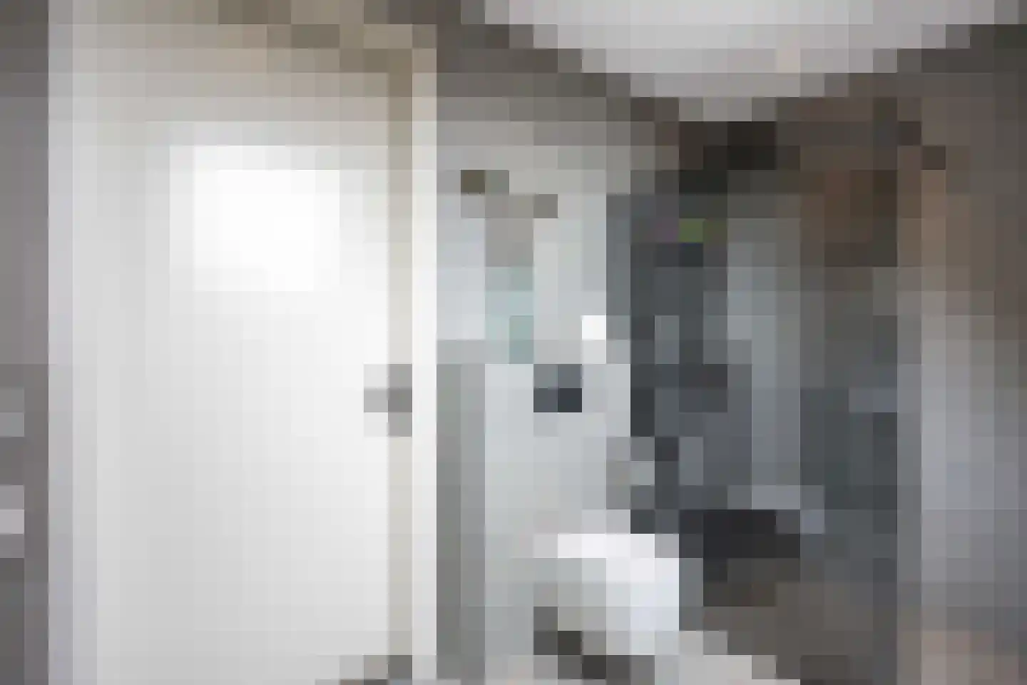 Waterhoen 8 Bedum thumbnail 48