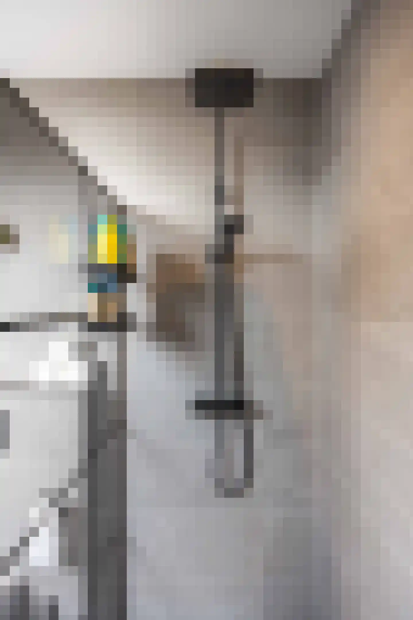 Waterhoen 8 Bedum thumbnail 50