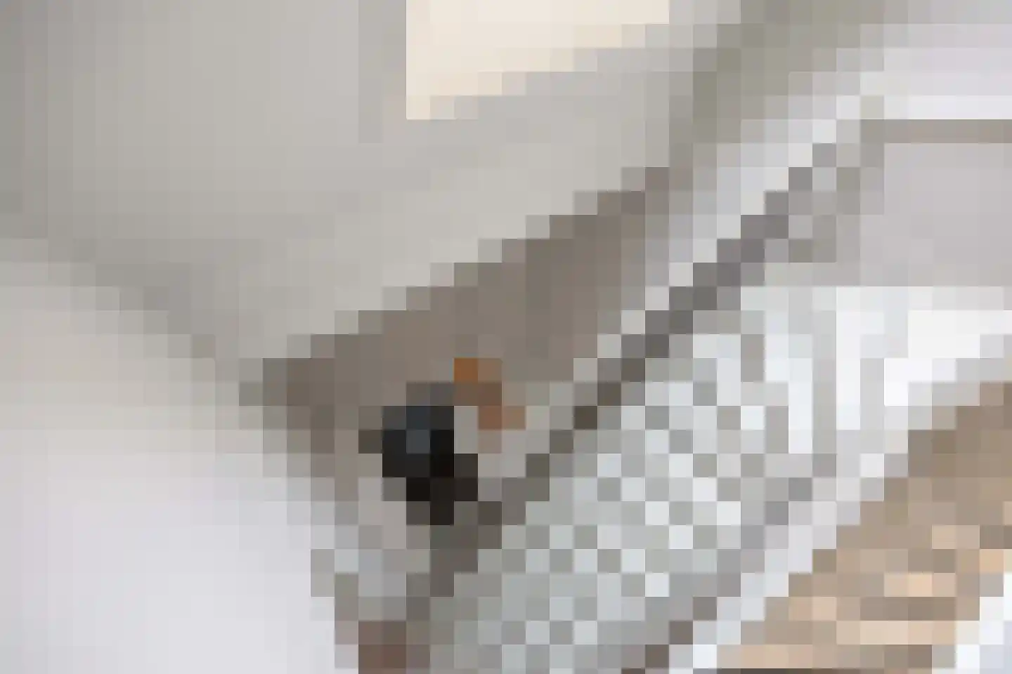 Waterhoen 8 Bedum thumbnail 52