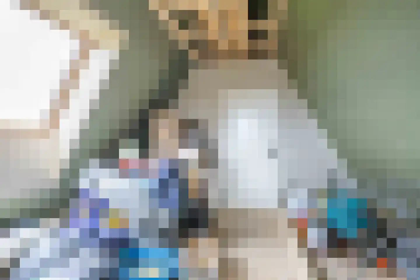 Waterhoen 8 Bedum thumbnail 55