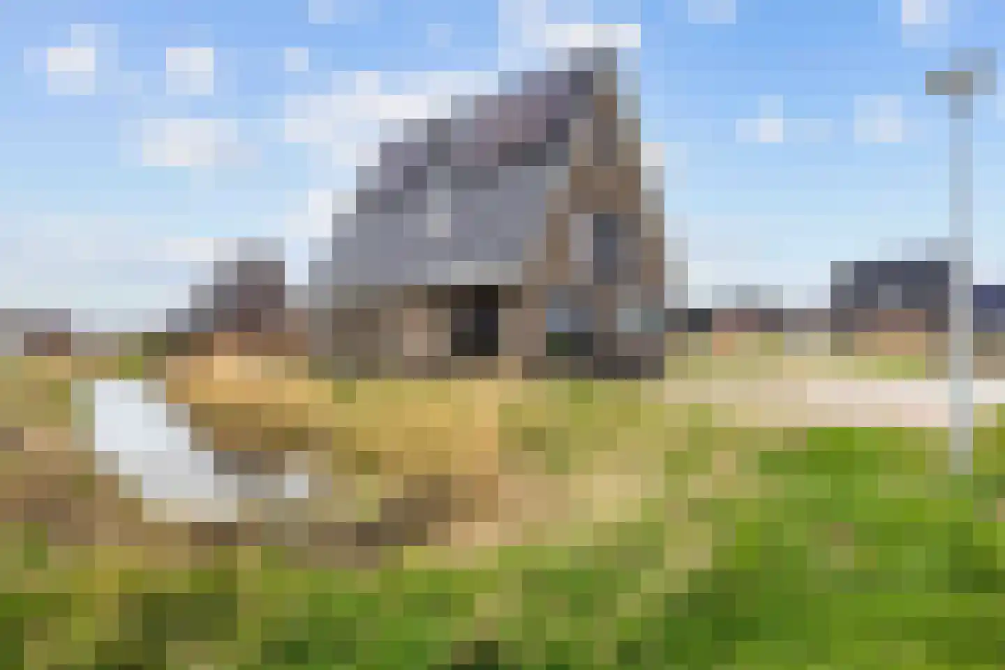 Waterhoen 8 Bedum thumbnail 6