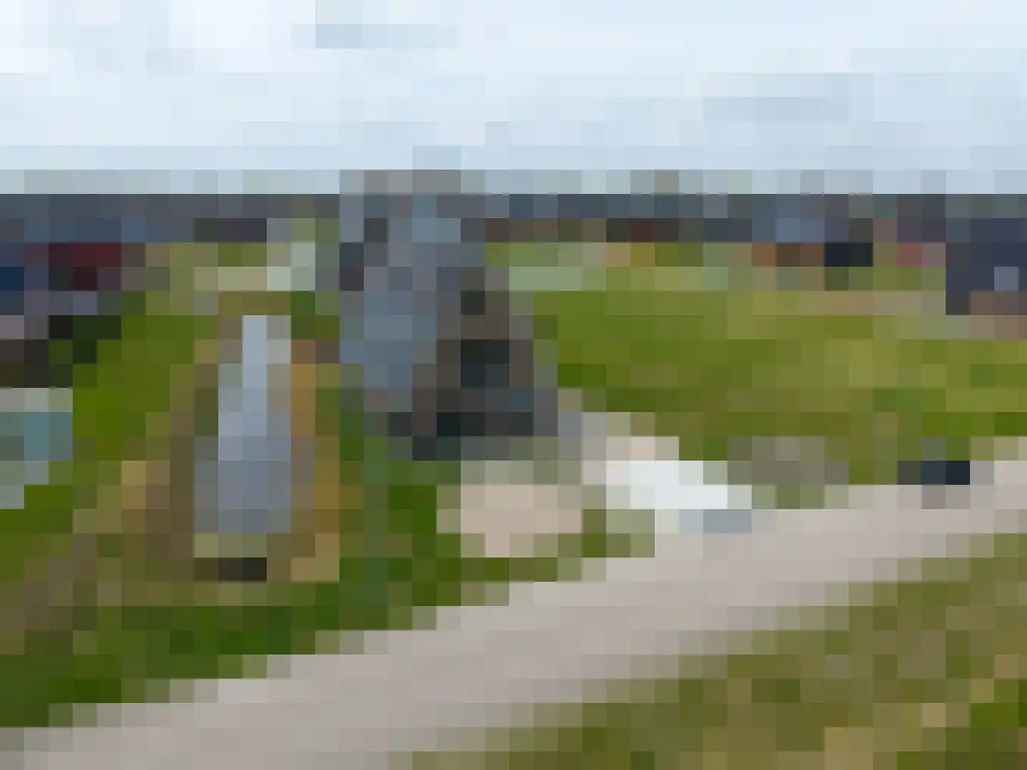 Waterhoen 8 Bedum thumbnail 61