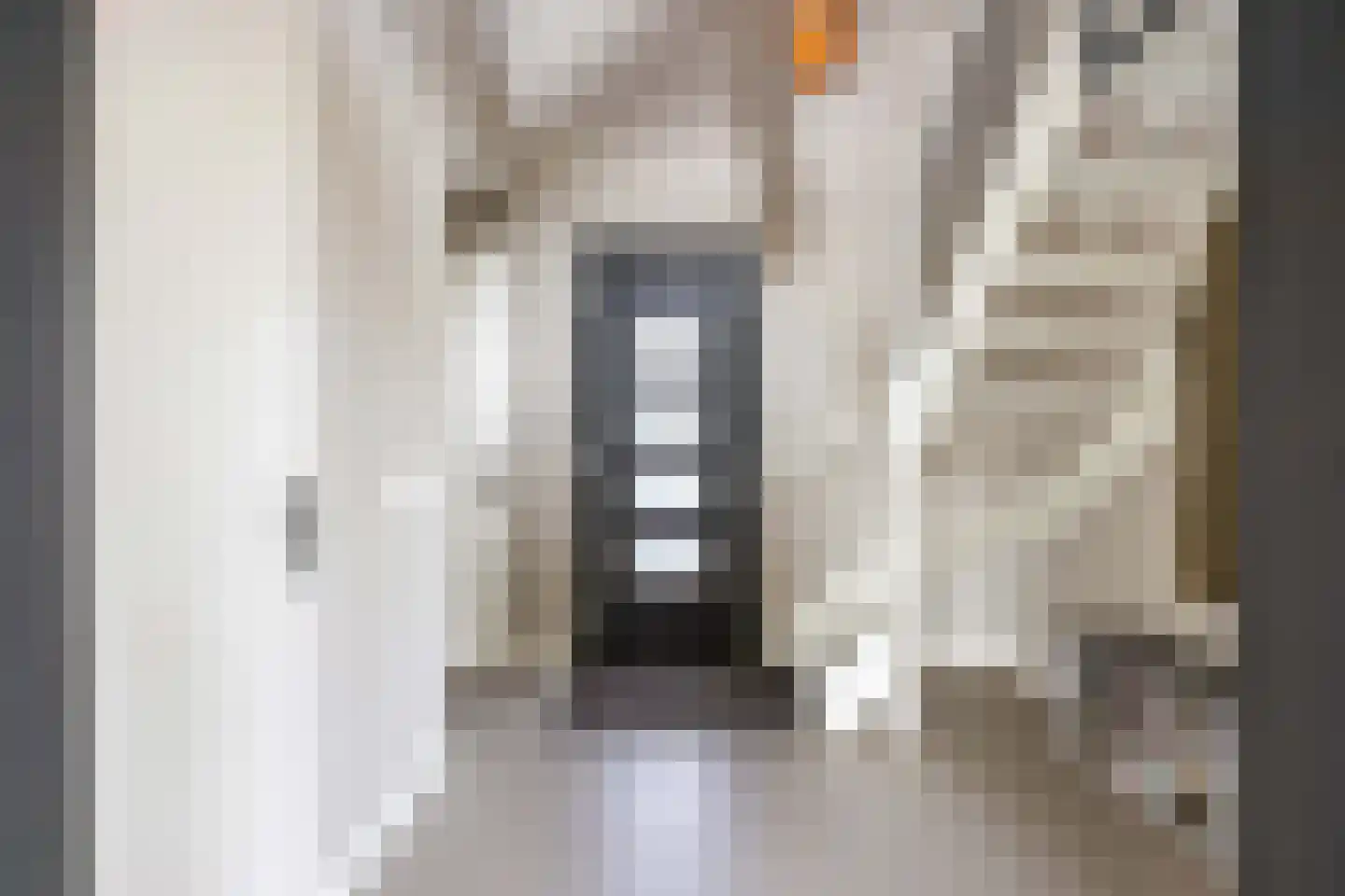 Waterhoen 8 Bedum thumbnail 9