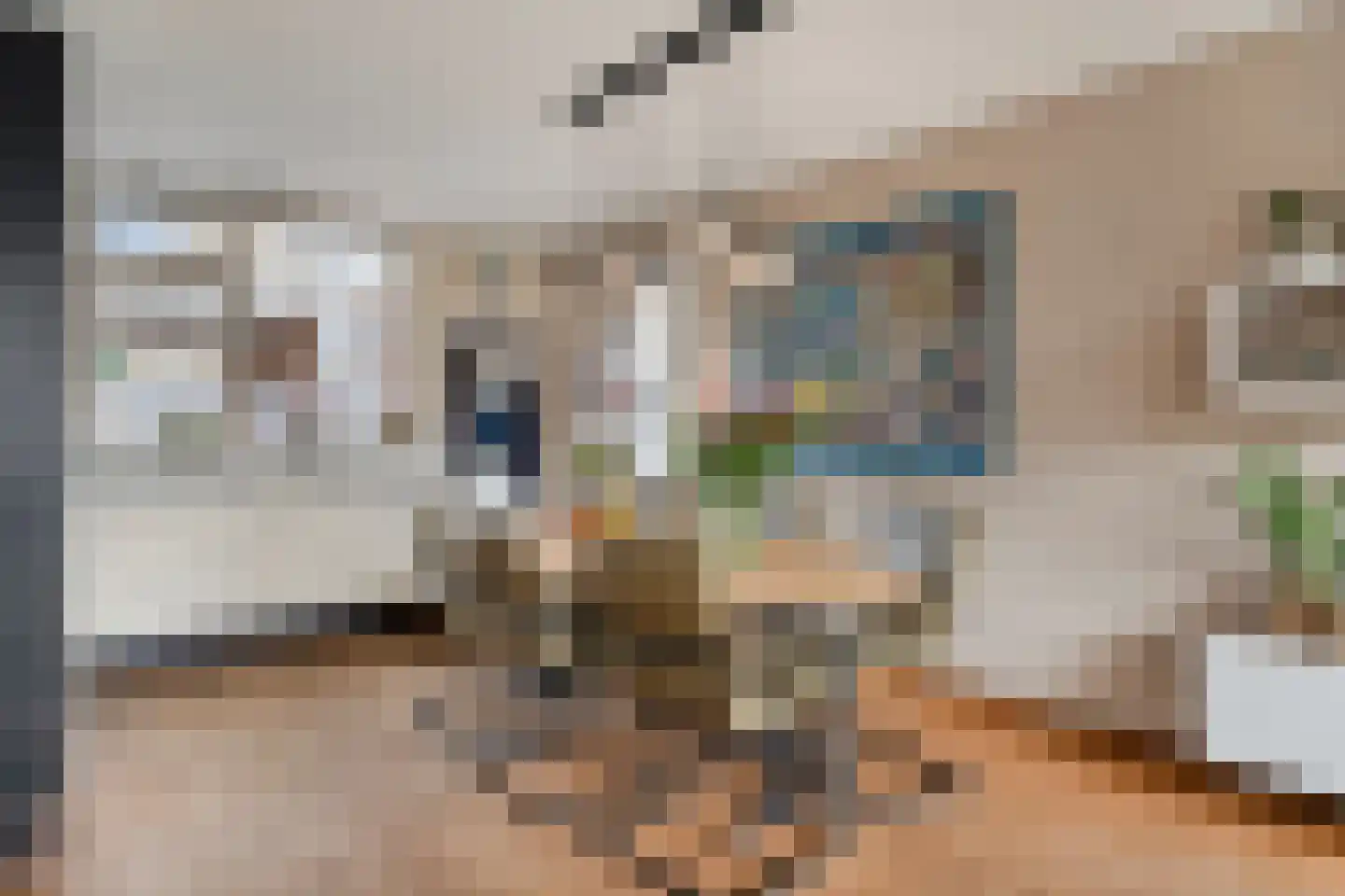 Waterhoen 8 Bunschoten-Spakenburg thumbnail 10