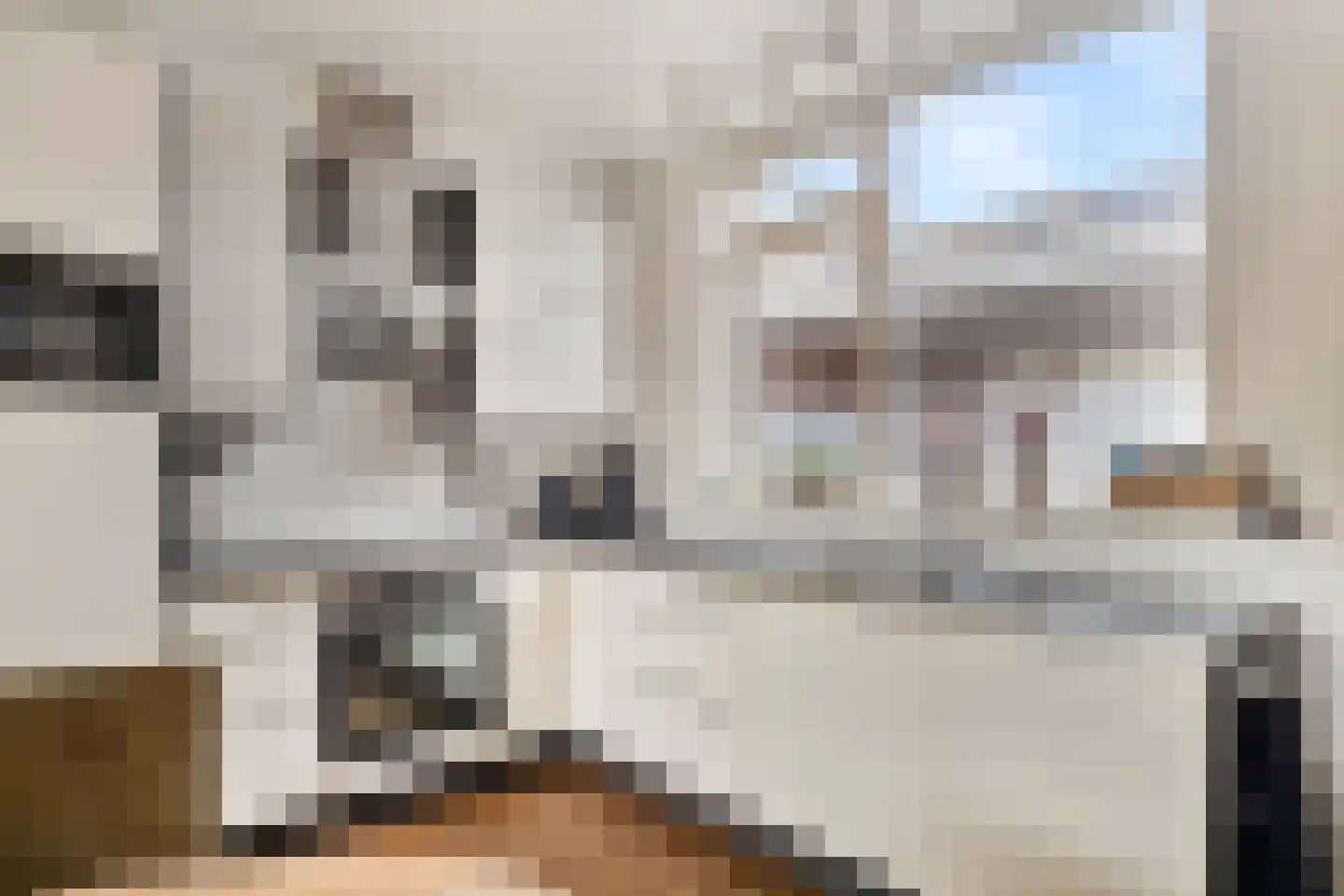 Waterhoen 8 Bunschoten-Spakenburg thumbnail 11
