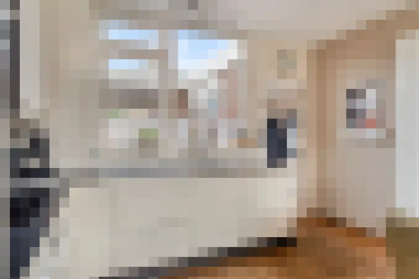 Waterhoen 8 Bunschoten-Spakenburg thumbnail 13