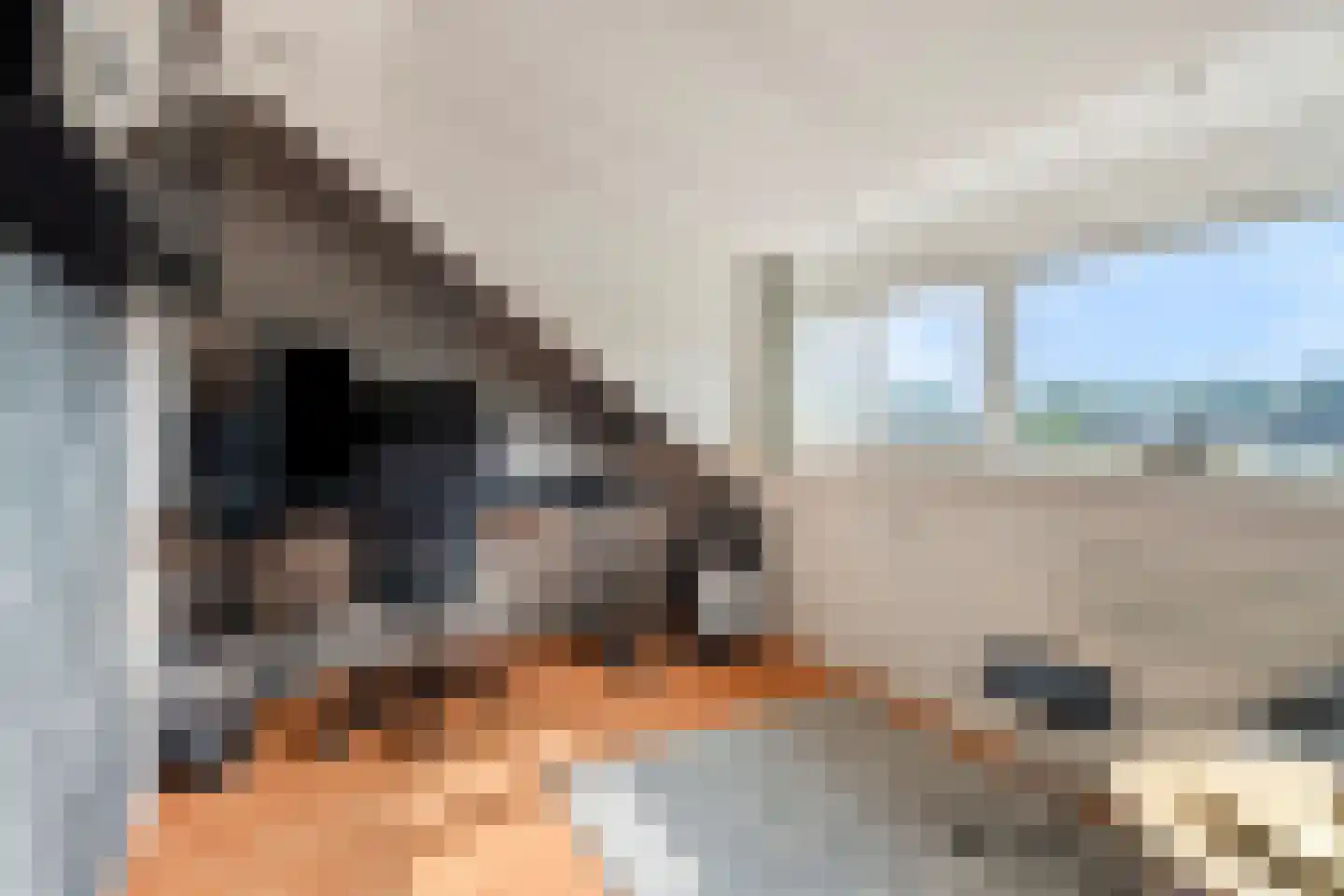 Waterhoen 8 Bunschoten-Spakenburg thumbnail 26