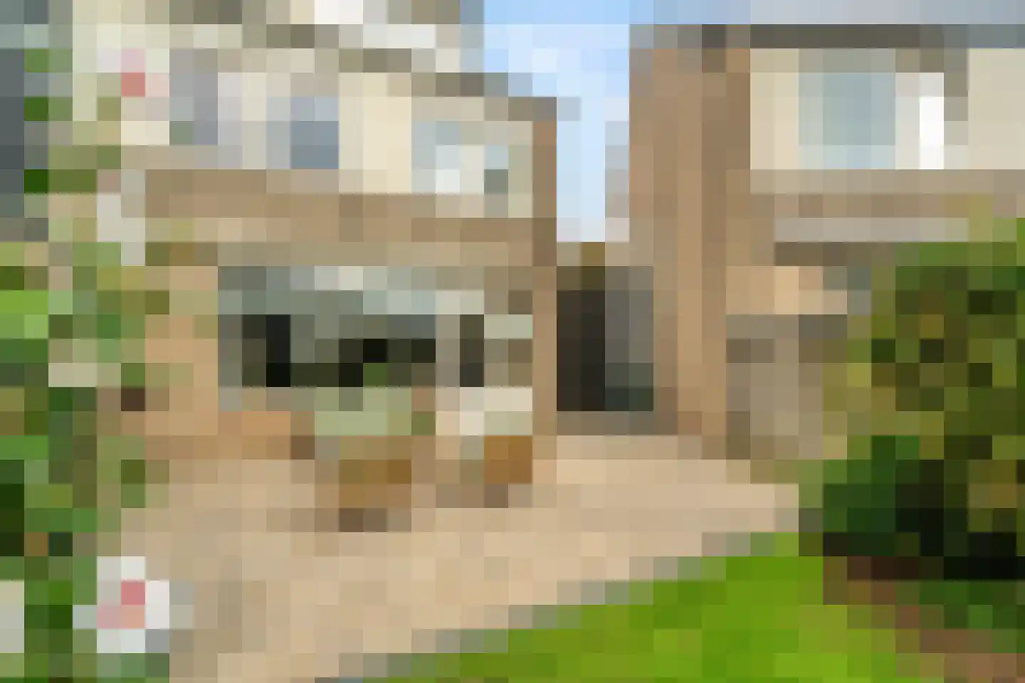 Waterhoen 8 Bunschoten-Spakenburg thumbnail 30