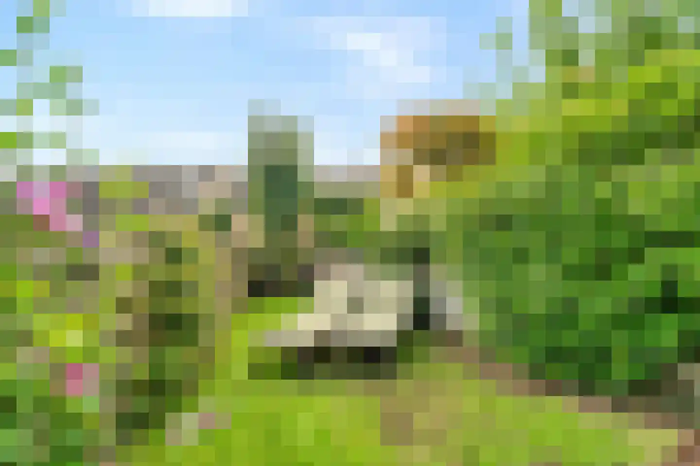 Waterhoen 8 Bunschoten-Spakenburg thumbnail 31