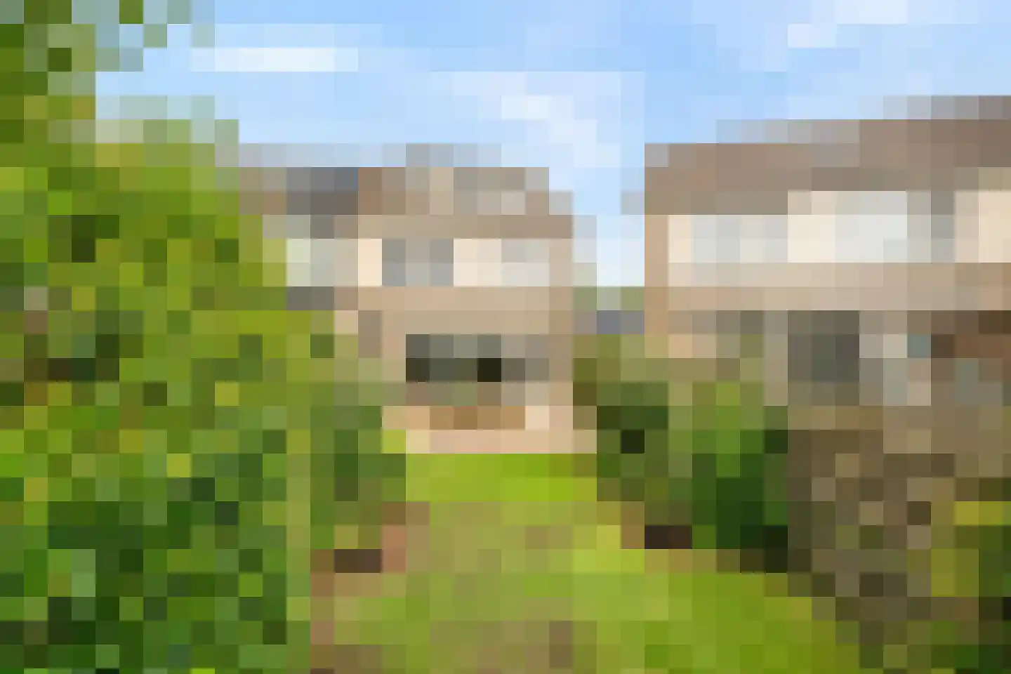 Waterhoen 8 Bunschoten-Spakenburg thumbnail 32