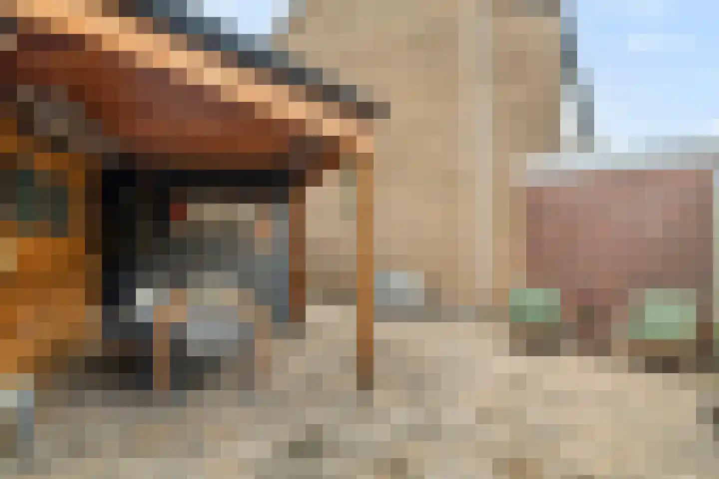 Waterhoen 8 Bunschoten-Spakenburg thumbnail 35