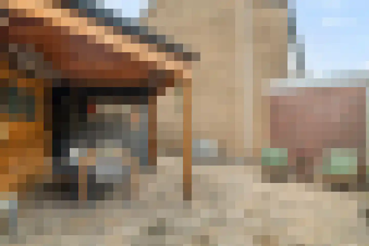 Waterhoen 8 Bunschoten-Spakenburg thumbnail 35