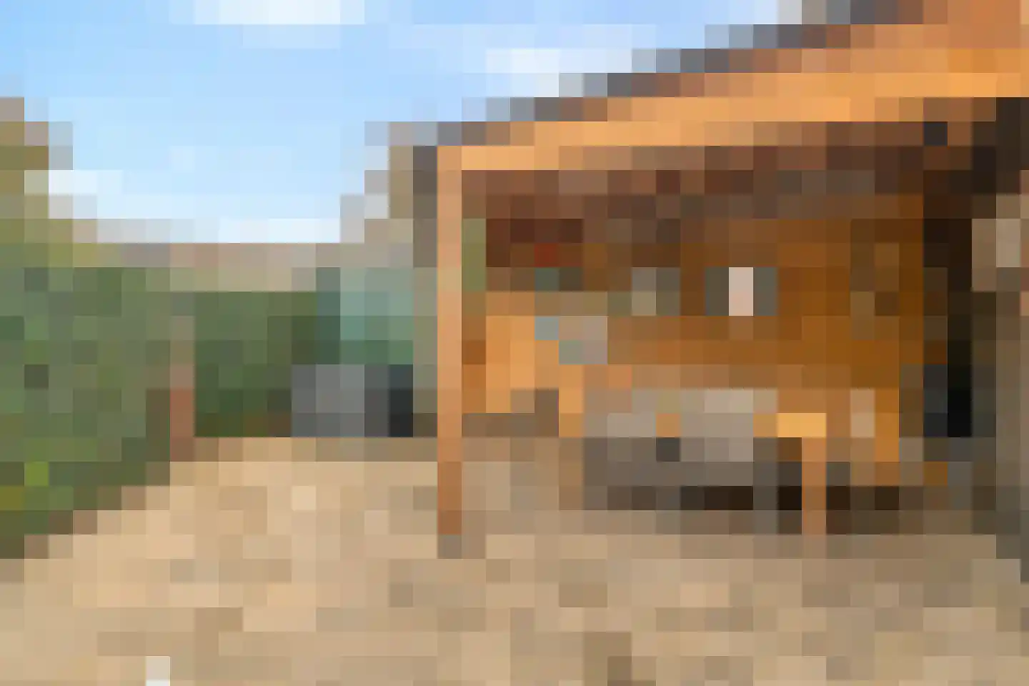 Waterhoen 8 Bunschoten-Spakenburg thumbnail 36