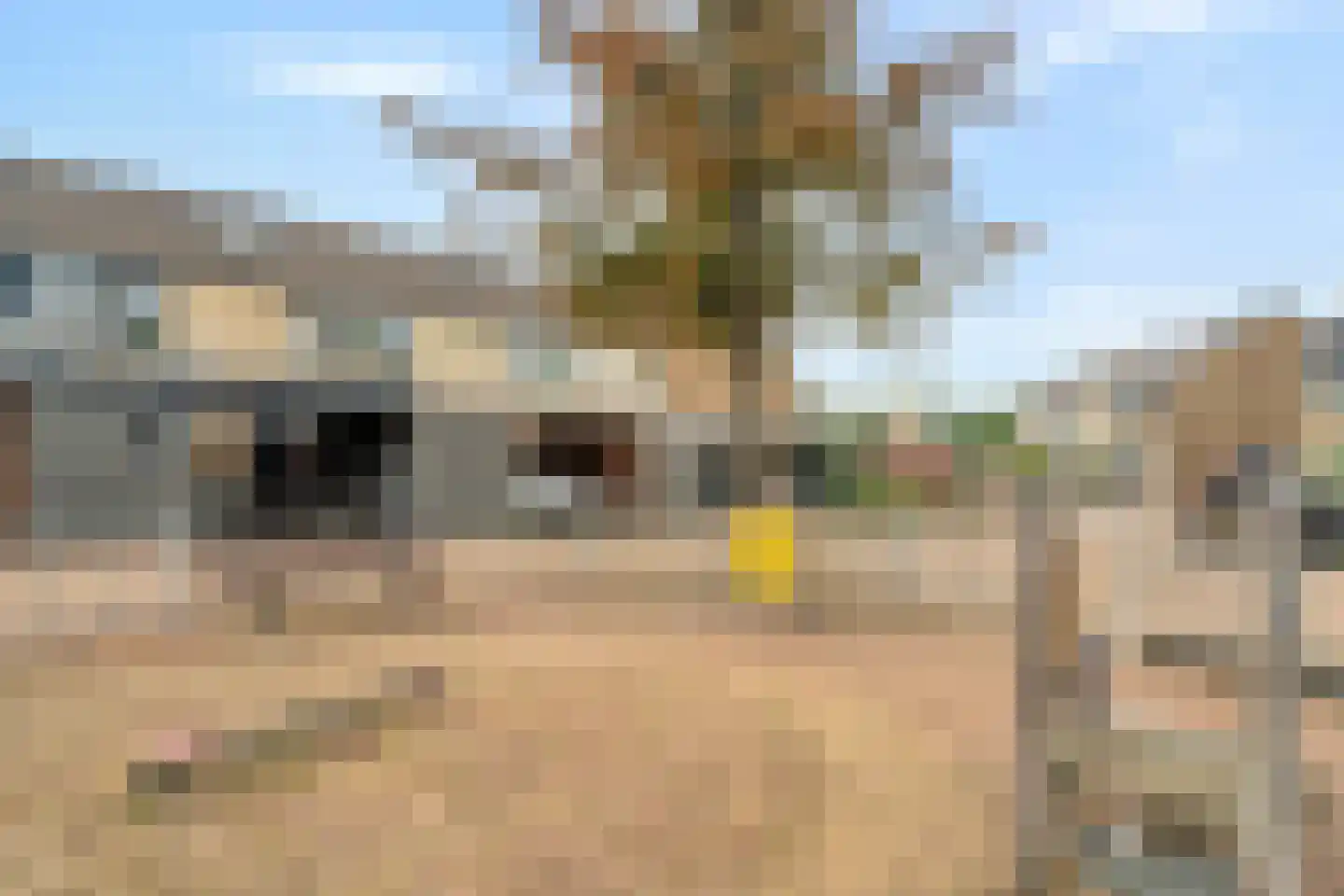 Waterhoen 8 Bunschoten-Spakenburg thumbnail 40