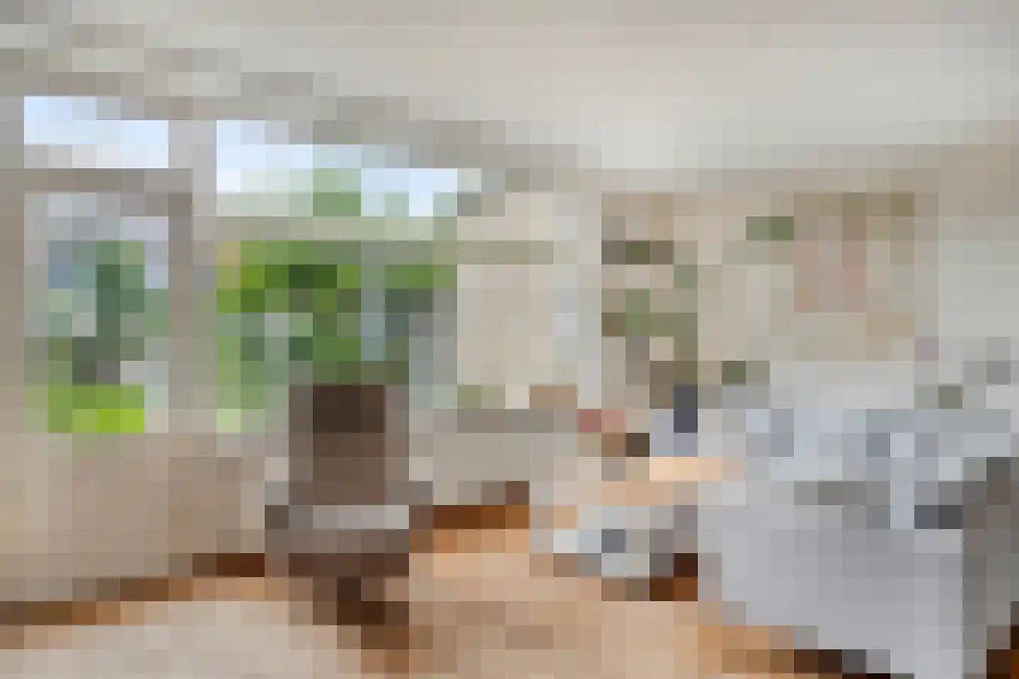 Waterhoen 8 Bunschoten-Spakenburg thumbnail 7