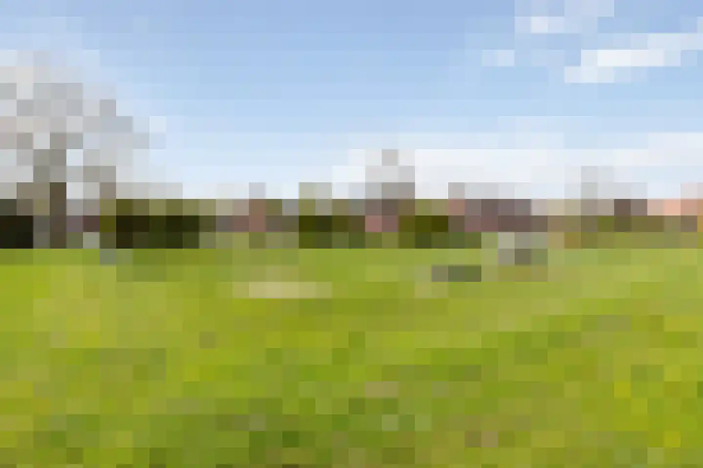 Waterhoen 8 Muiderberg thumbnail 15