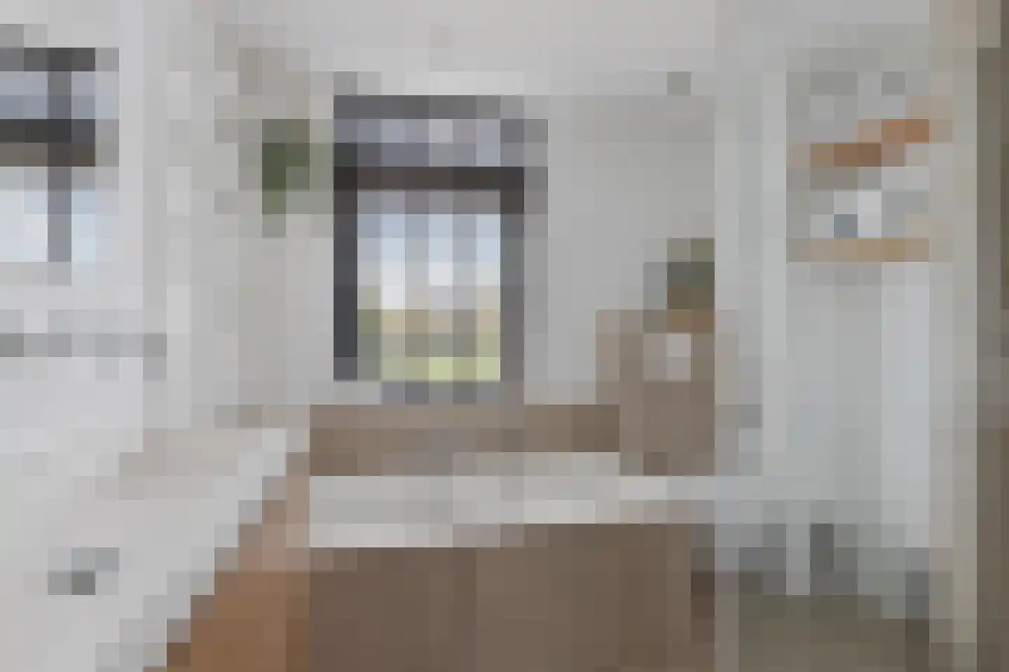 Waterhoen 8 Muiderberg thumbnail 22