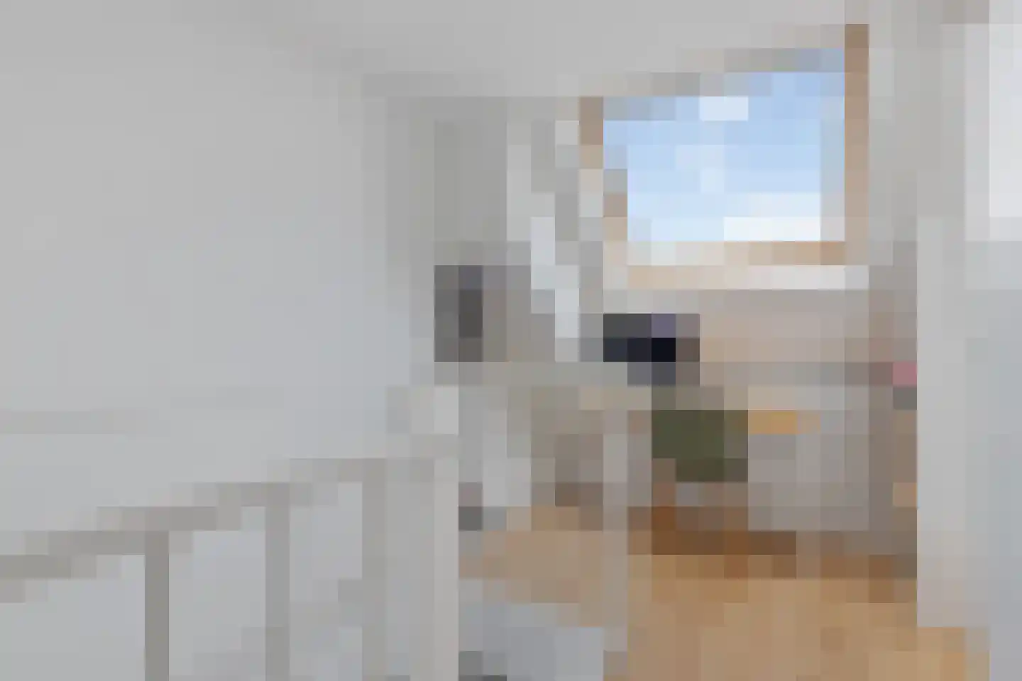 Waterhoen 8 Muiderberg thumbnail 24