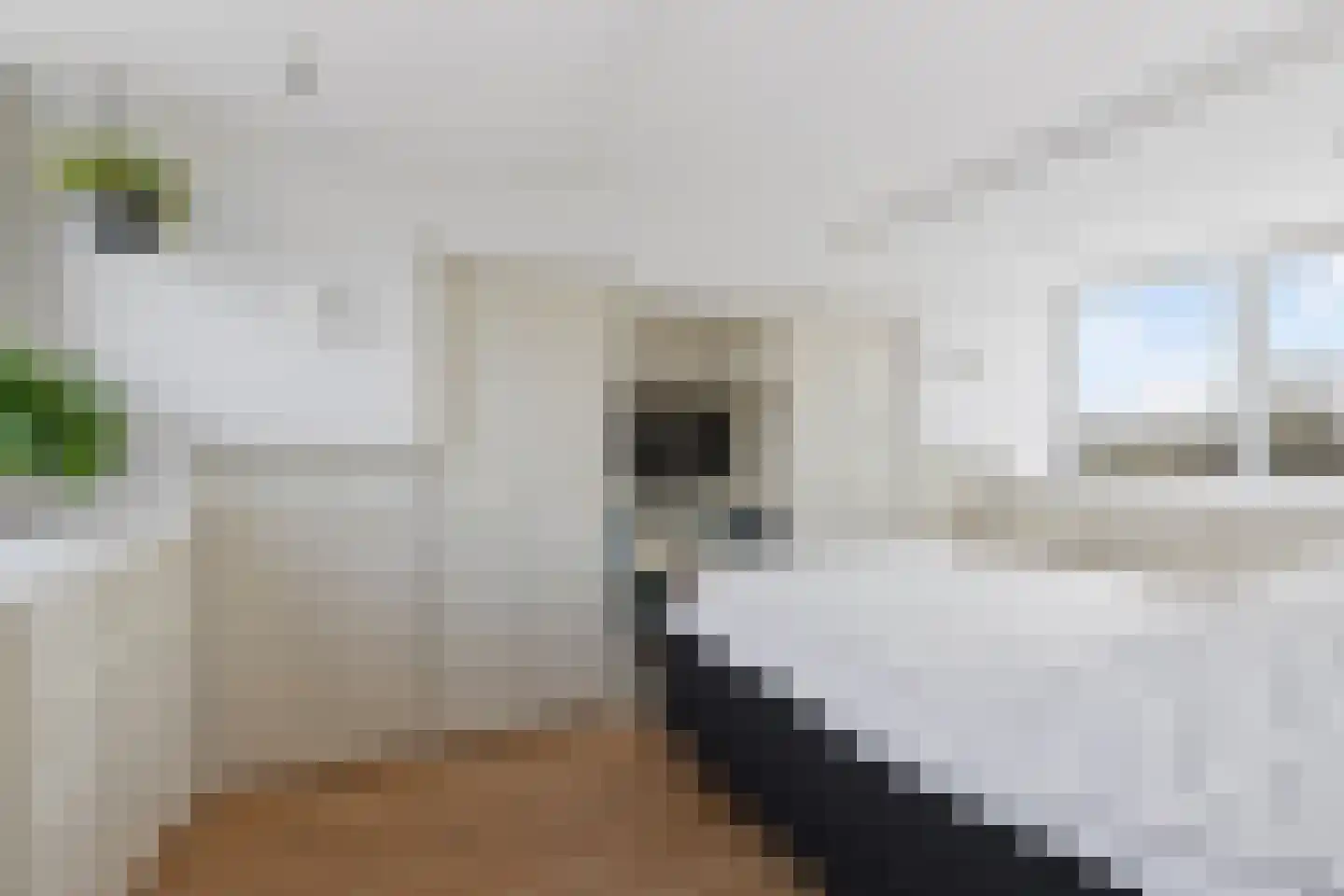 Waterhoen 8 Muiderberg thumbnail 26