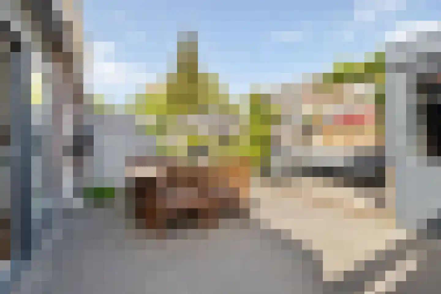 Waterhoen 8 Muiderberg thumbnail 32