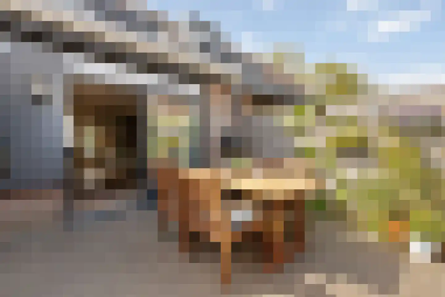 Waterhoen 8 Muiderberg thumbnail 33