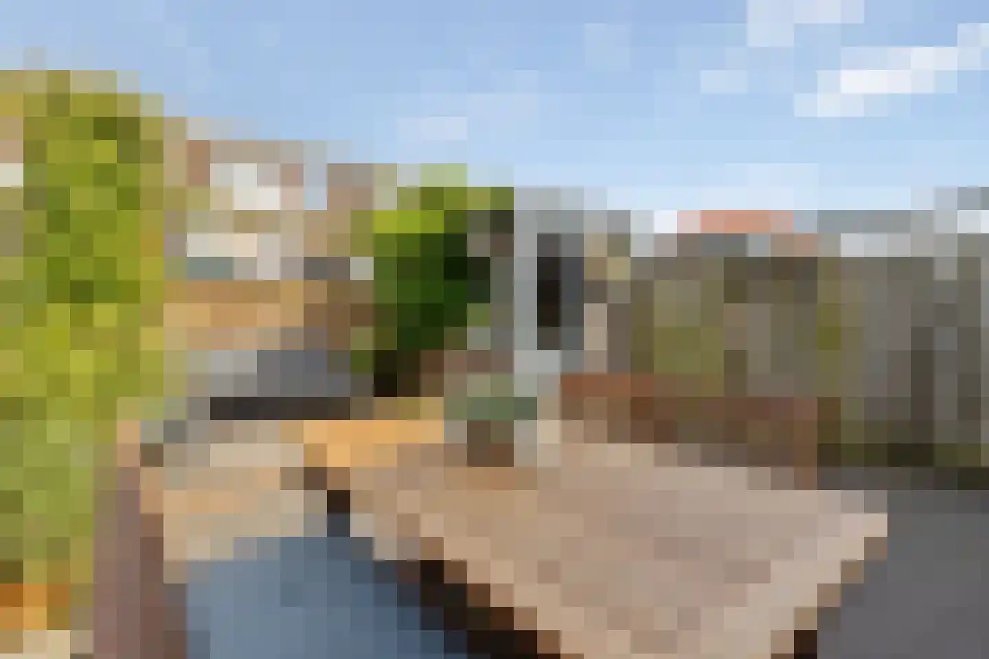 Waterhoen 8 Muiderberg thumbnail 34