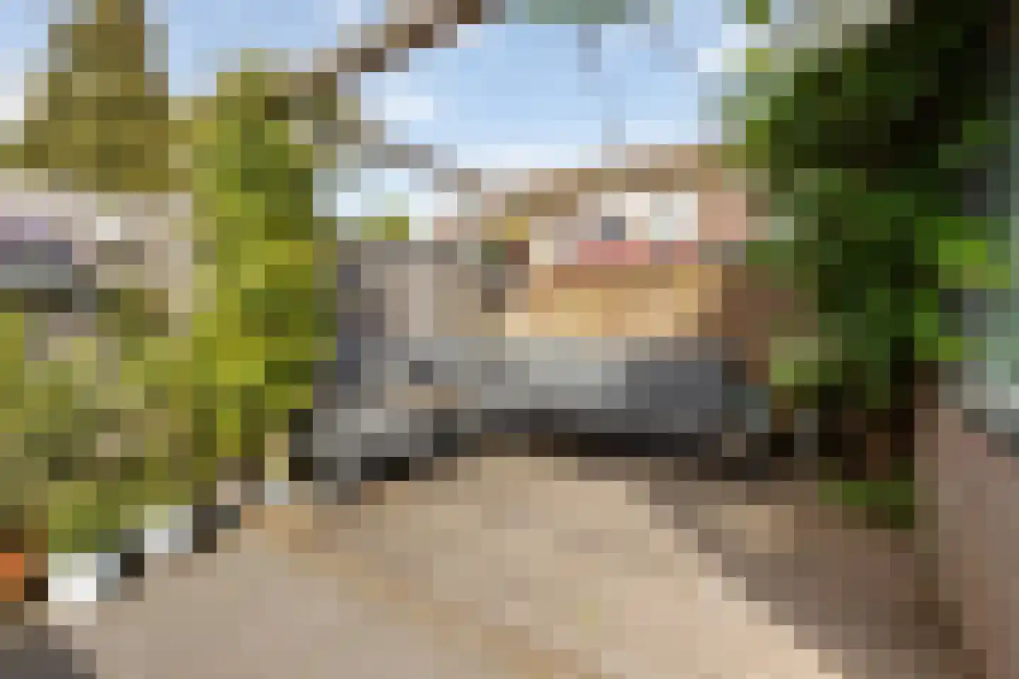Waterhoen 8 Muiderberg thumbnail 35