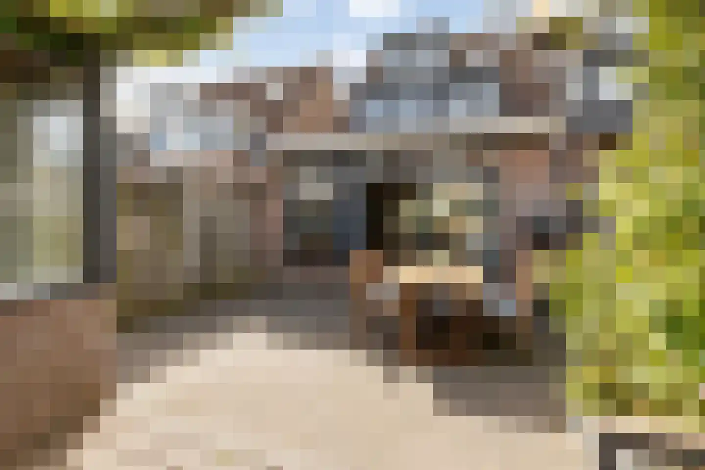 Waterhoen 8 Muiderberg thumbnail 36