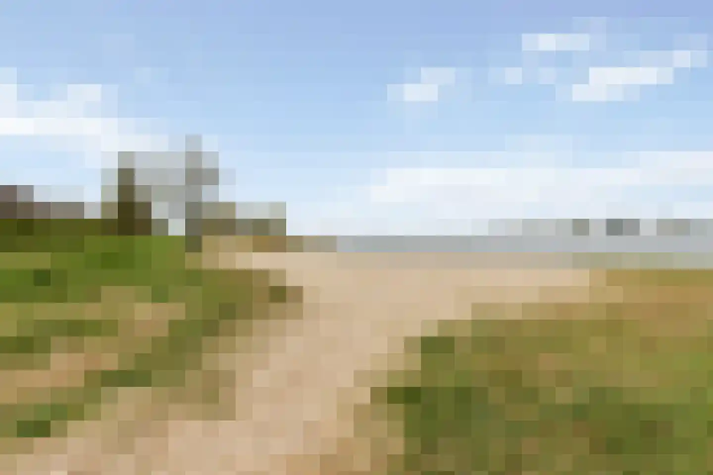 Waterhoen 8 Muiderberg thumbnail 37