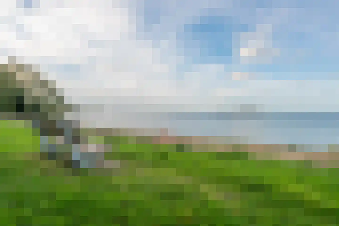 Waterhoen 8 Muiderberg thumbnail 38