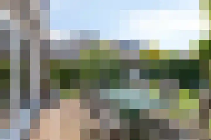 Waterhoenhof 19 Purmerend thumbnail 33