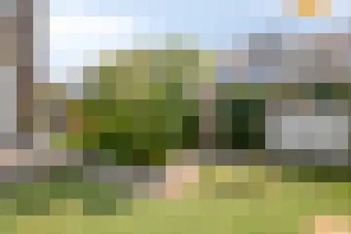 Waterhoenhof 19 Purmerend thumbnail 34