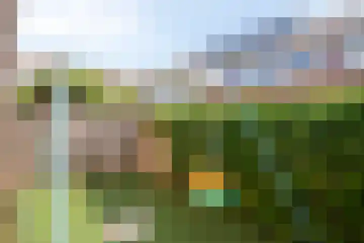 Waterhoenhof 19 Purmerend thumbnail 35