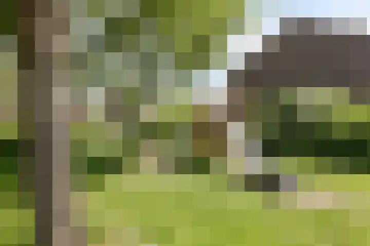 Waterhoenhof 19 Purmerend thumbnail 36